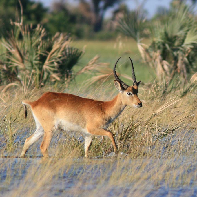 Explore-Botswana-route_Combi_Namibia_Okavango_Delta_03