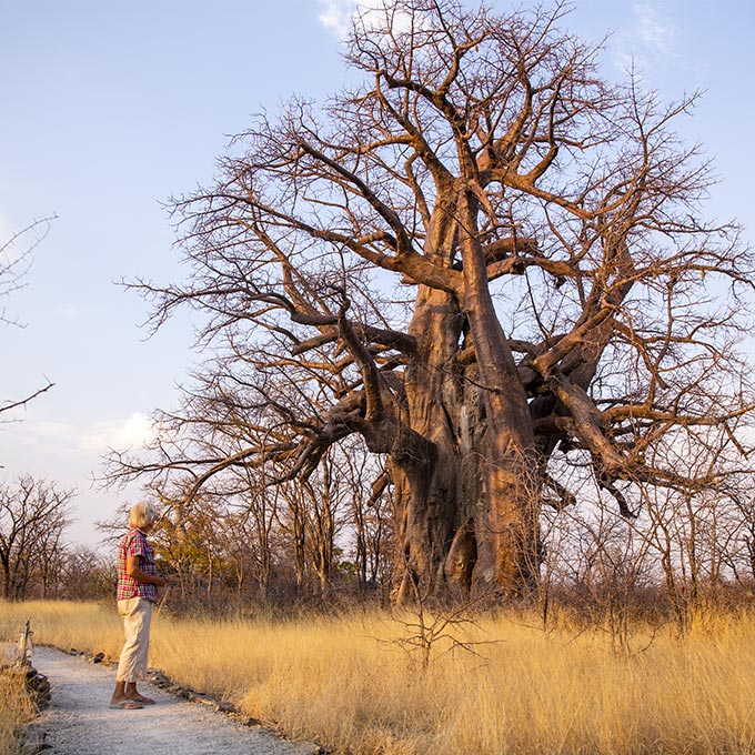 Explore-Botswana-route_highlights_Makgadikgadi-National-Park-01