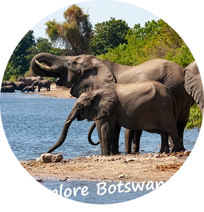Self-Drive-Safari-Botswana-Over-Ons