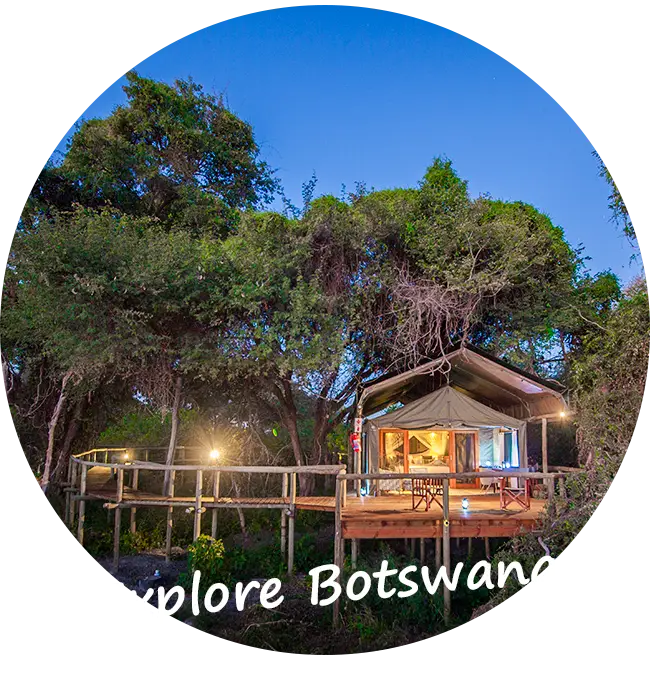 Explore-Botswana-Self-Drive-Safari-Ons-Aanbod
