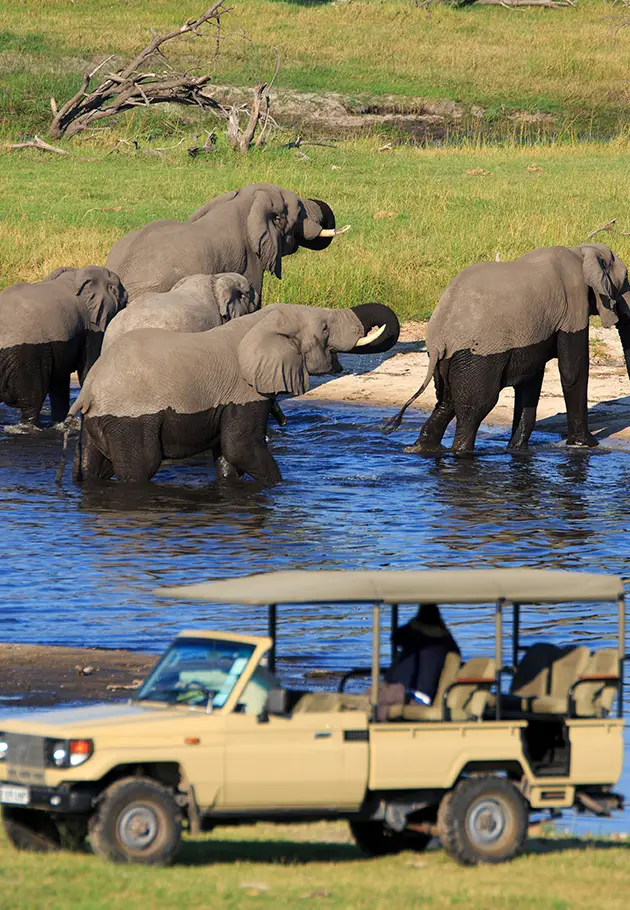 explore-botswana-self-drive-safari-trips