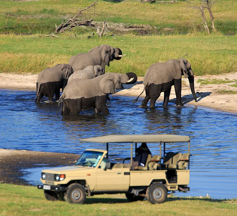 explore-botswana-self-drive-safari-trips