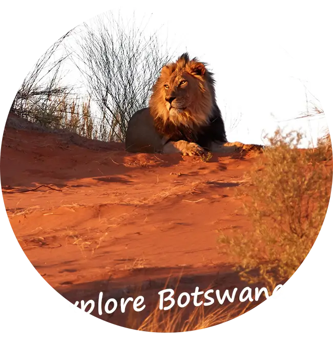 4x4-car-hire-self-drive-safari-botswana-Guarantee-scheme