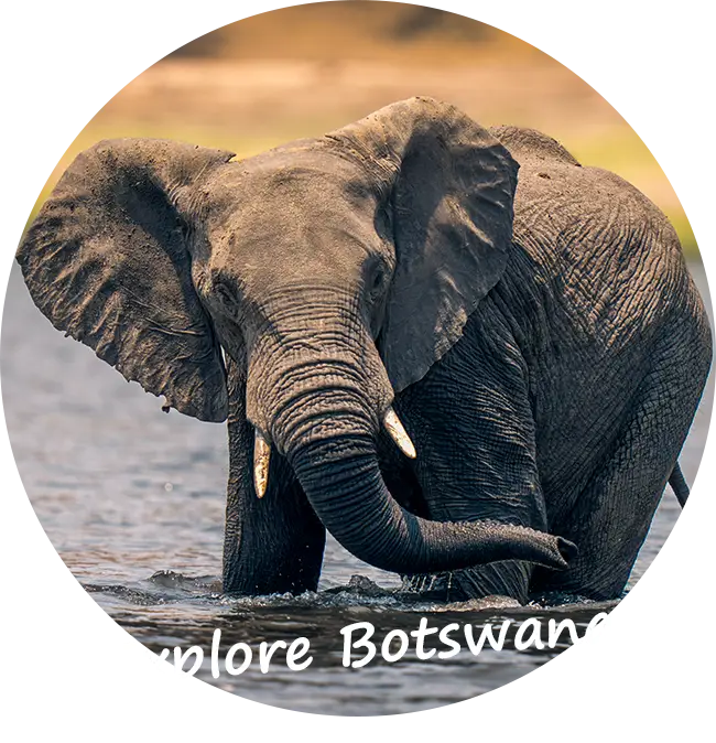 4x4-car-hire-self-drive-safari-botswana-client-feedback
