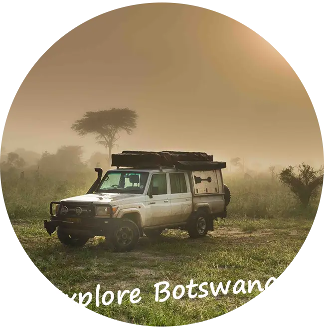 Car-Hire-Botswana-Self-Drive-Safari-Car-Insurance