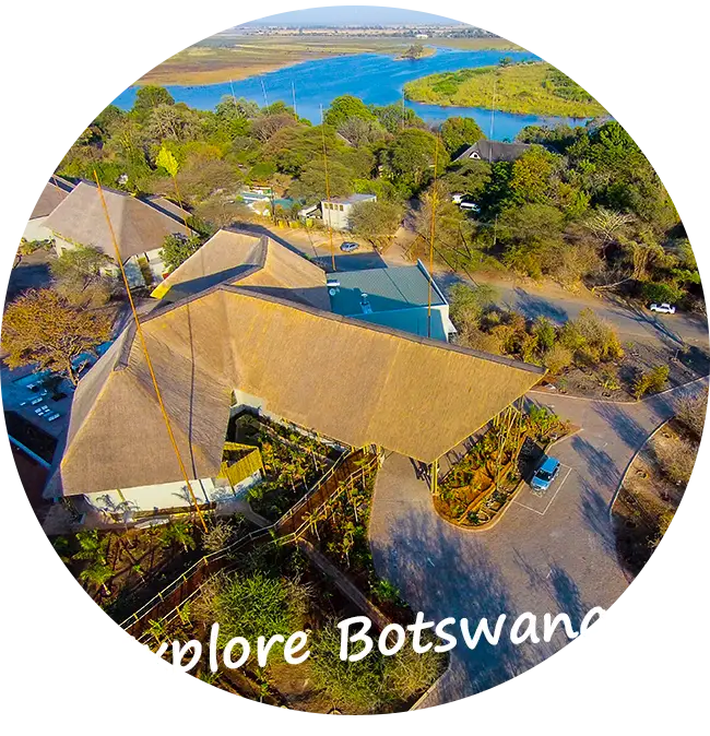 Explore-Botswana-Self-Drive-Safari-Activities