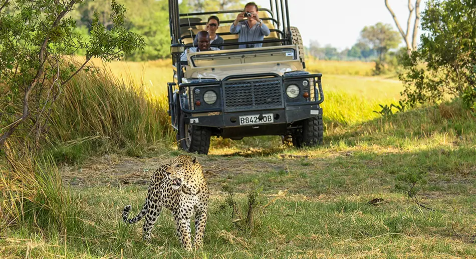 Explore-Botswana-Self-Drive-Safari-Travelling-in-Botswana-Best-Time-to-Visit