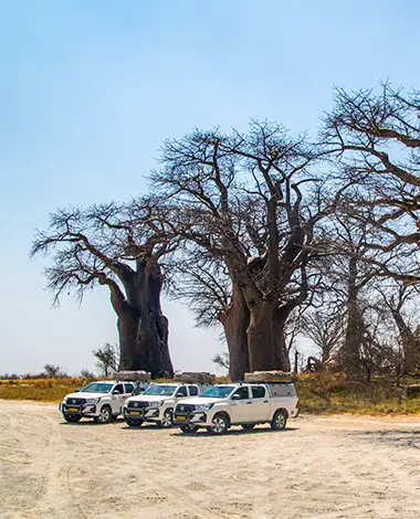 Self-Drive-Safari-Car-Hire-Travelling-in-Botswana-packing-list
