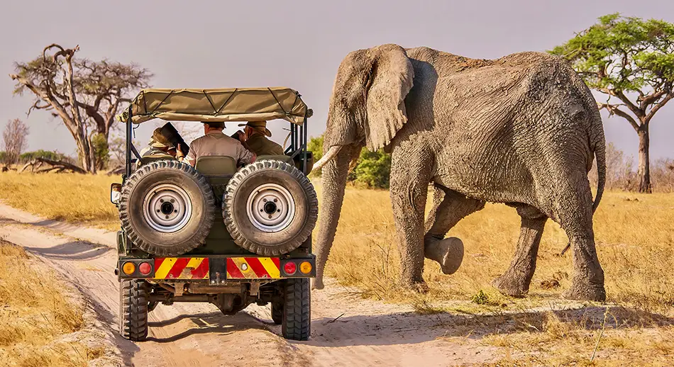 Self-Drive-Safari-Car-Rental-Botswana-Quotations