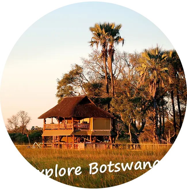 Self-Drive-Safari-Information-About-Botswana