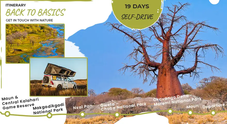 Self-Drive-Safari-4x4-Car-Hire-Botswana-Route-Back-to-Basics